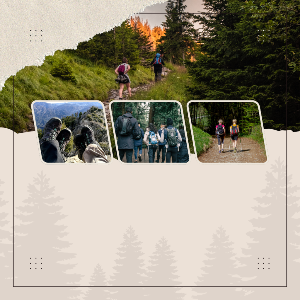 6 Benefícios de Fazer Caminhadas Diárias para sua Saúde